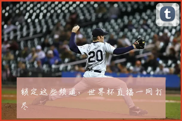 锁定这些频道，世界杯直播一网打尽