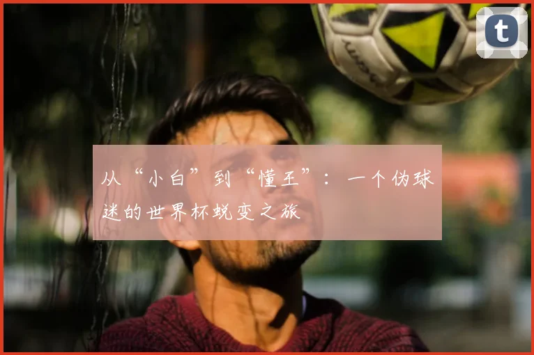 从“小白”到“懂王”：一个伪球迷的世界杯蜕变之旅