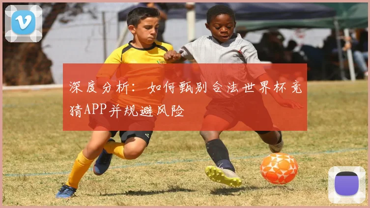 深度分析：如何甄别合法世界杯竞猜APP并规避风险