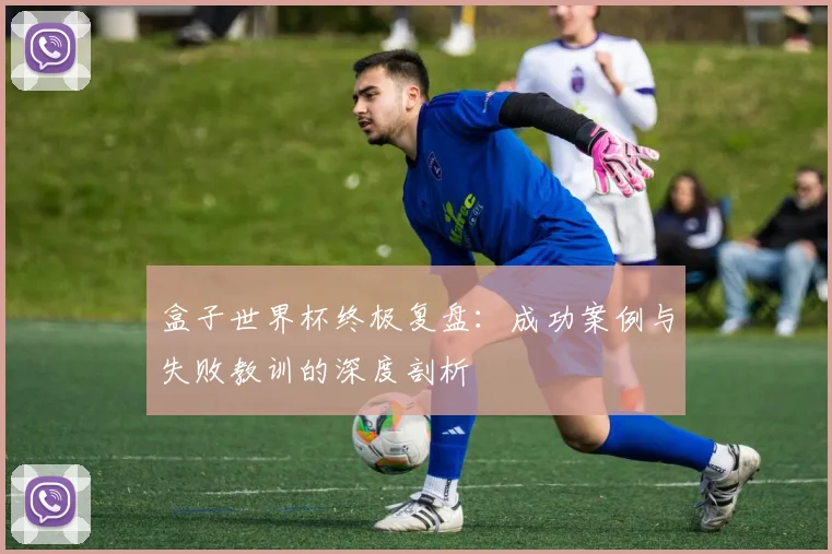 盒子世界杯终极复盘:成功案例与失败教训的深度剖析