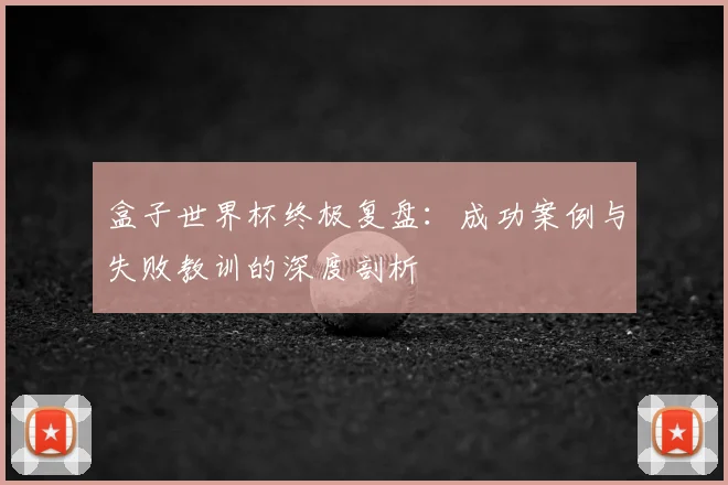 盒子世界杯终极复盘:成功案例与失败教训的深度剖析