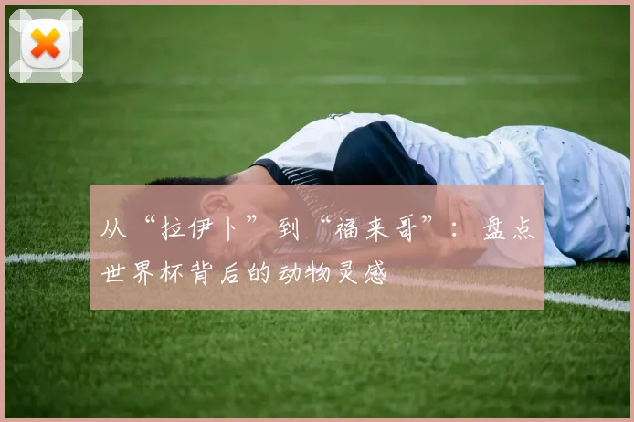 从“拉伊卜”到“福来哥”：盘点世界杯背后的动物灵感