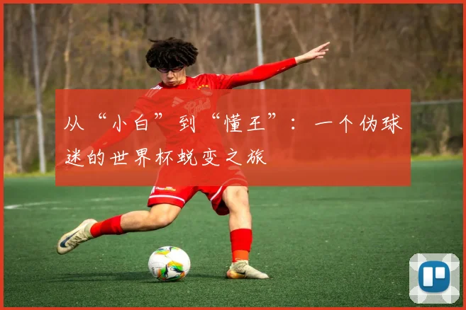 从“小白”到“懂王”：一个伪球迷的世界杯蜕变之旅