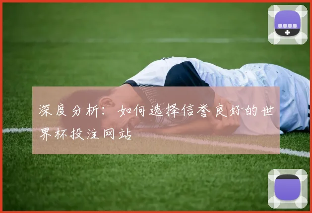 深度分析：如何选择信誉良好的世界杯投注网站