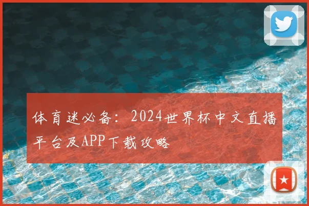 体育迷必备：2024世界杯中文直播平台及APP下载攻略