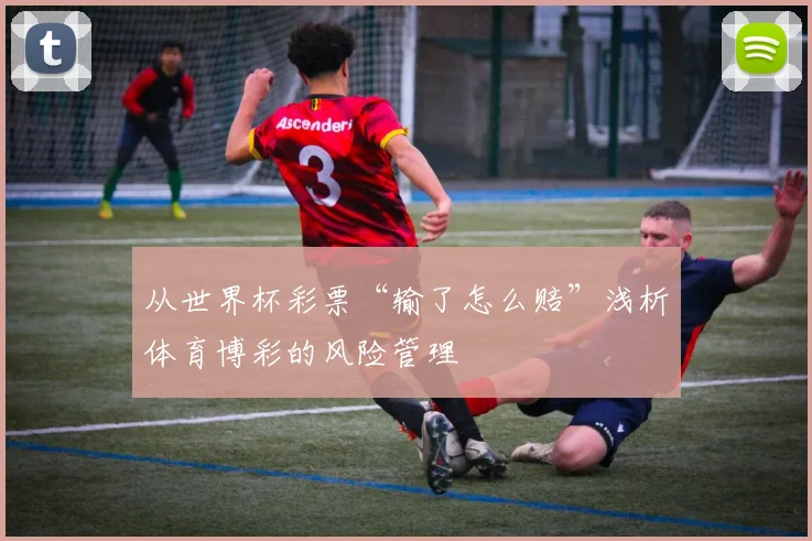 从世界杯彩票“输了怎么赔”浅析体育博彩的风险管理